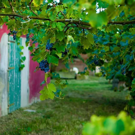 农家乐 Valle Isola 