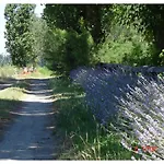 Valle Isola 