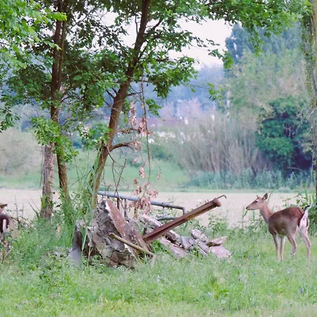 Valle Isola 