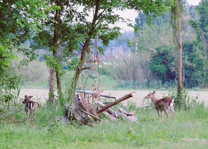 Valle Isola La Tana Del Gusto Alloggio per agriturismo Comacchio