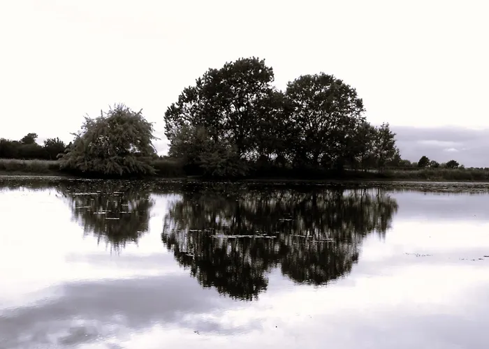 Alloggio per agriturismo Valle Isola La Tana Del Gusto Comacchio