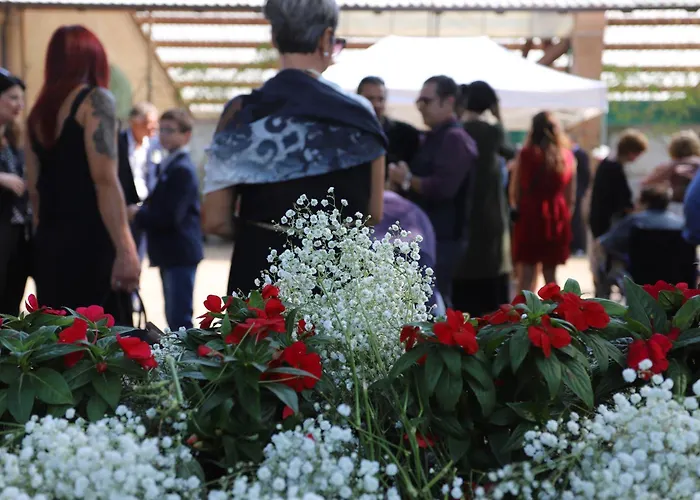 Valle Isola La Tana Del Gusto * Comacchio