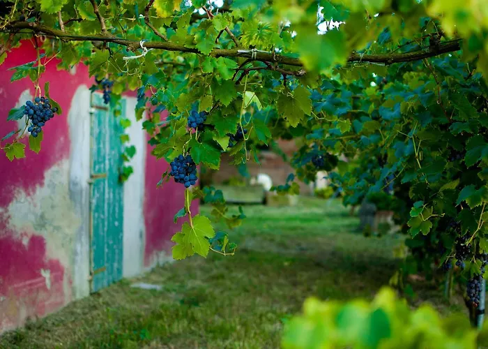 Alloggio per agriturismo Valle Isola La Tana Del Gusto